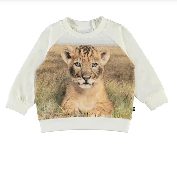 Molo Boy's Esco Lion Cub Graphic Sweatshirt Size 18M Cream, tan, brown - Picture 8 of 8